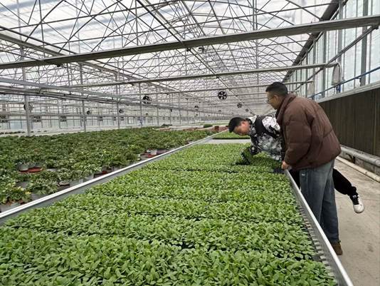 259f67458c7da39edfb6e4ea43fbebc