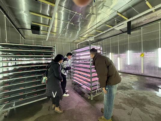 85cdfc946547ef28f89232f7ecf61db